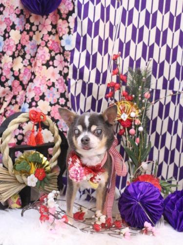 20250125メルくん